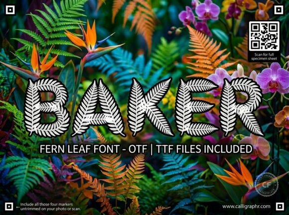 Baker: A Bold, Artistic Display Font for Modern Creators