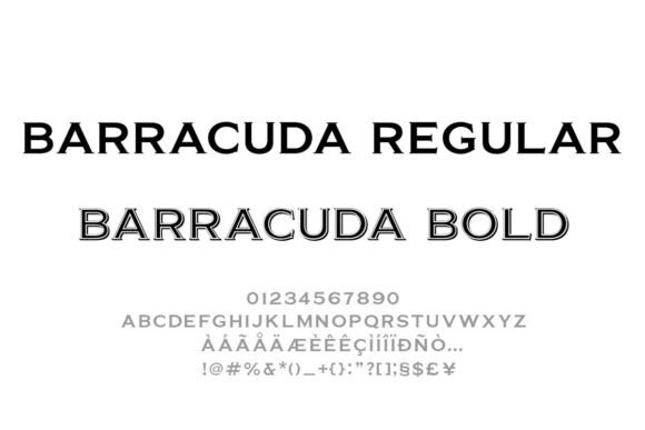Barracuda: An Elegant Serif Typeface for Bold Branding